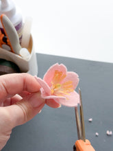 Load image into Gallery viewer, Private Cherry Blossom Branch Workshop
