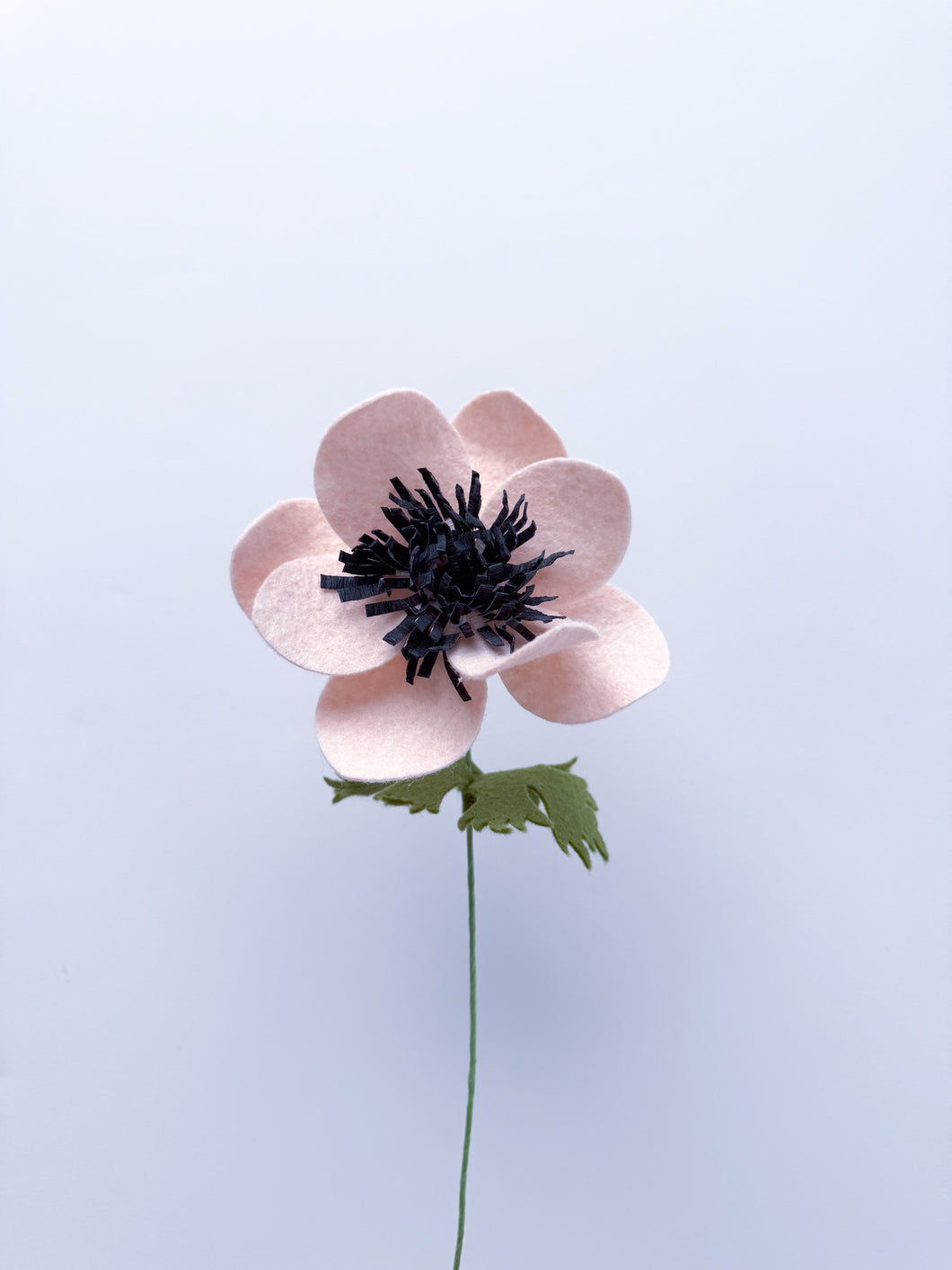 Peach Anemone