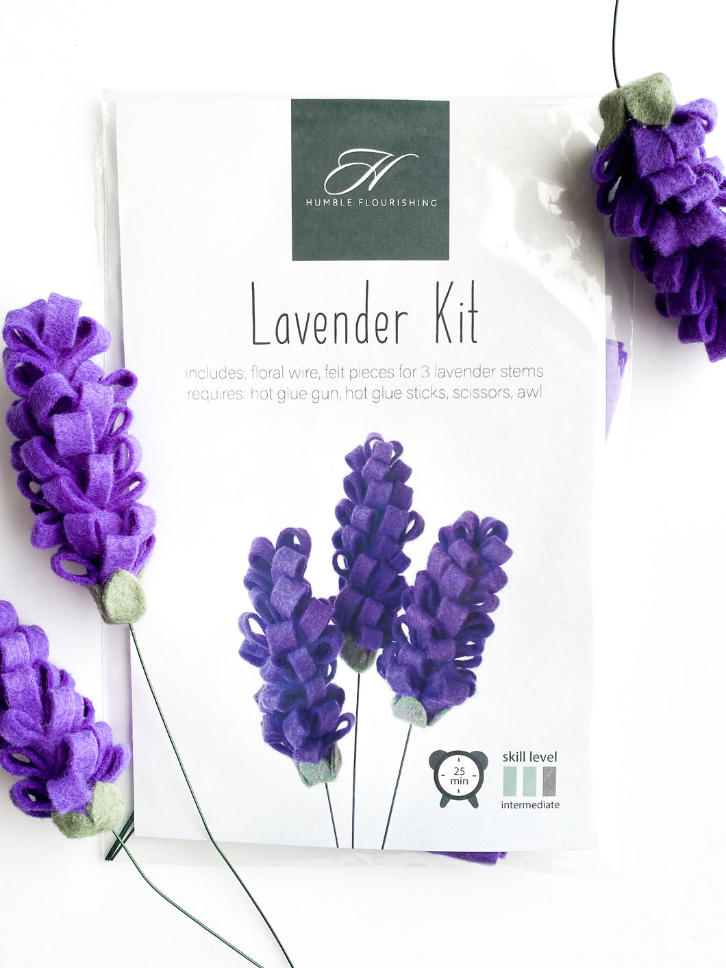 lavender plant kit Dark Purple Lavender