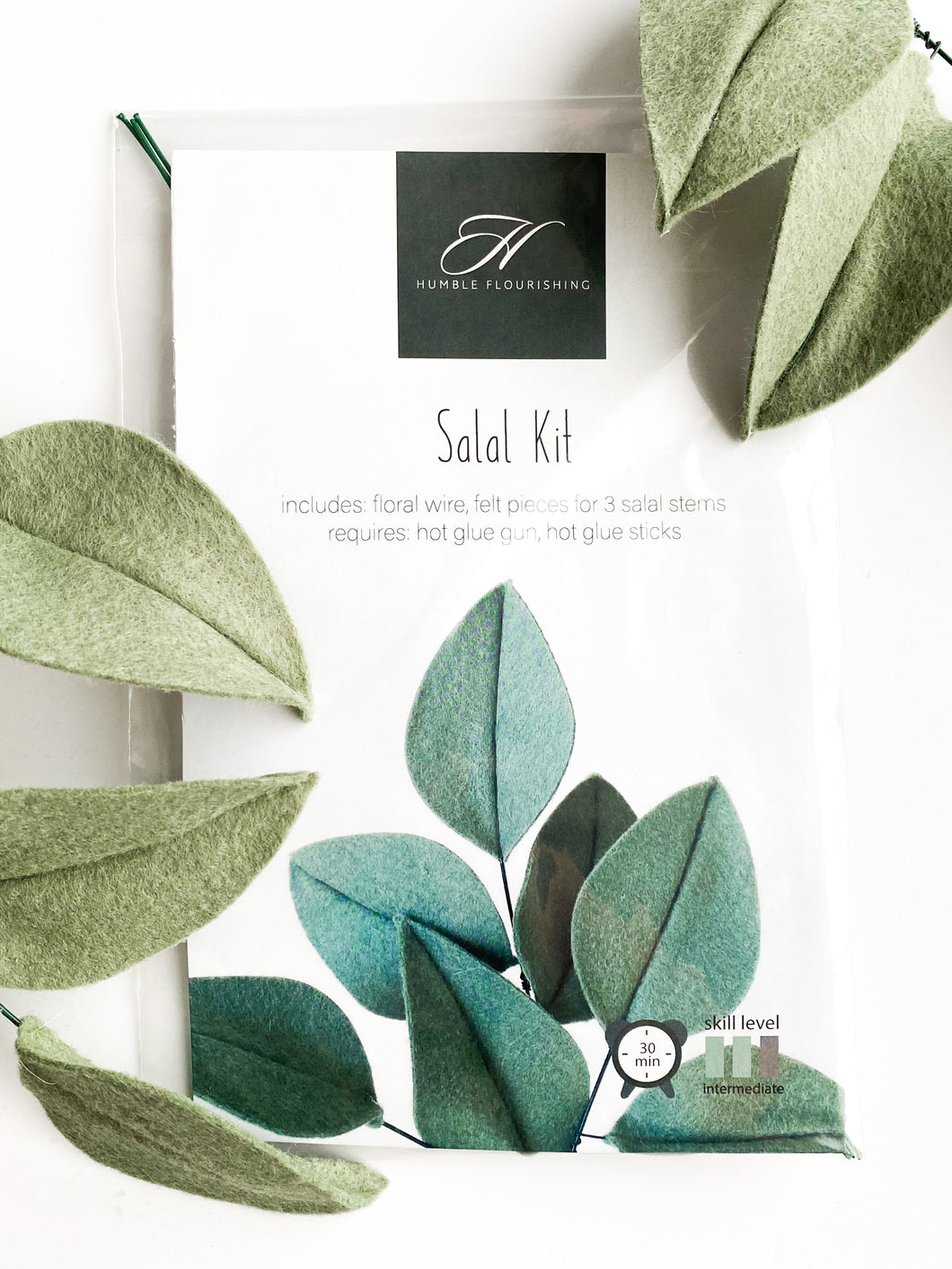 Salal | DIY Kit